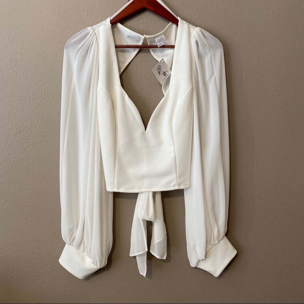 Long sleeve crop top